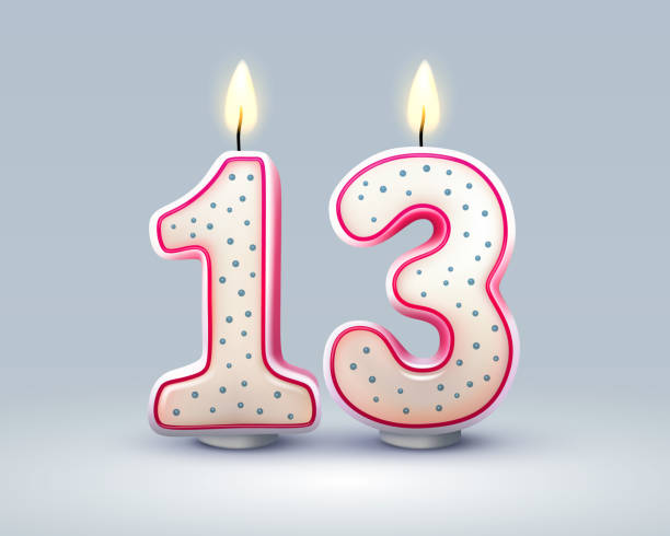 最終公募！第13回事業再構築補助金の概要